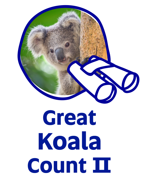 koala_Roetman_n.png